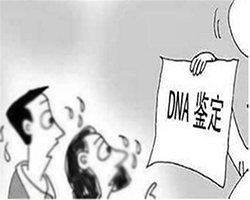 昆明DNA鉴定中心，昆明亲子鉴定如何做